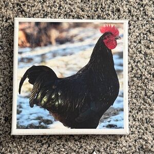 Rooster Canvas Wall Art